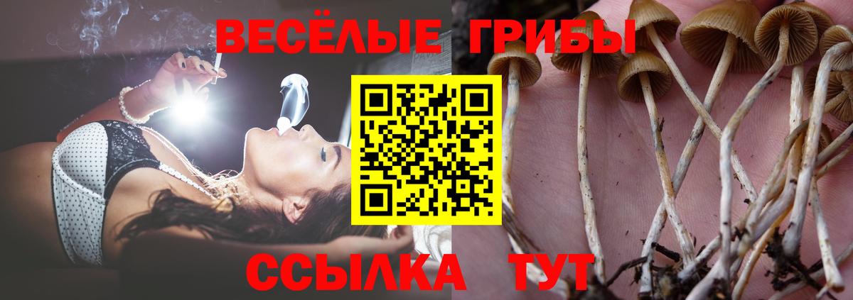 Галлюциногенные грибы MAGIC MUSHROOMS  наркота  Комсомольск-на-Амуре  Вход с VPN 